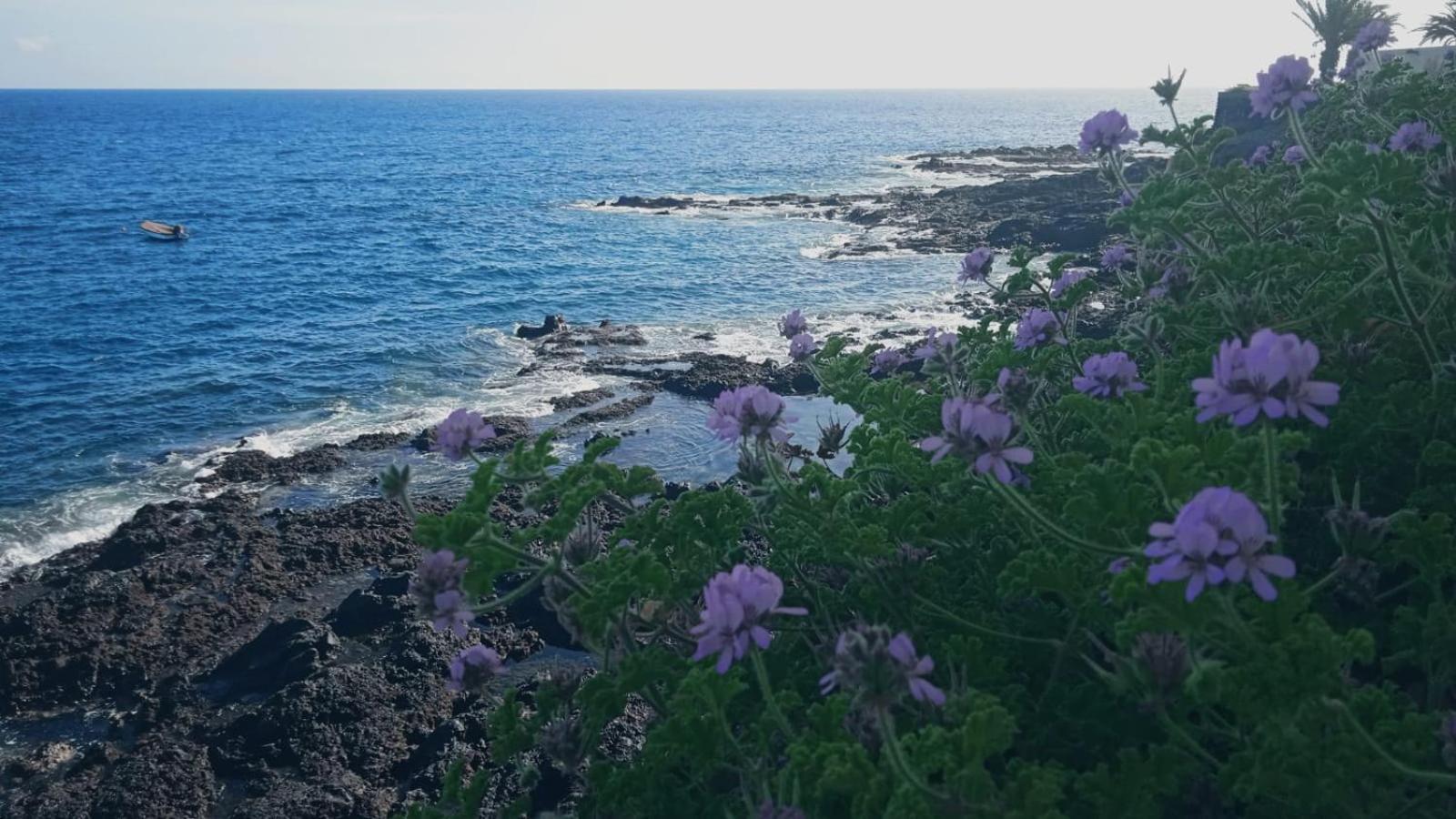 Casitarino Daire Puerto de Santiago  Dış mekan fotoğraf
